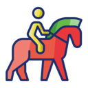 sports and competition,sport,animal,horse,horsebak riding